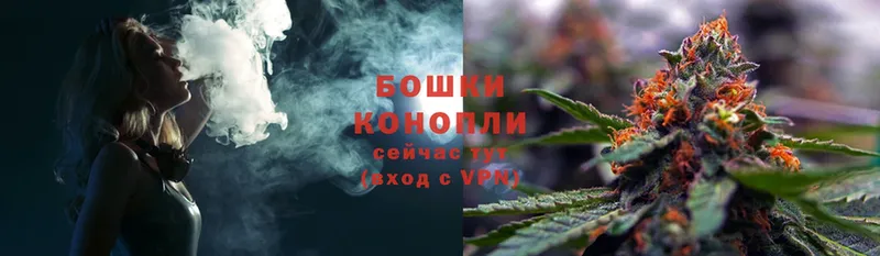 Шишки марихуана Ganja  Михайловск 